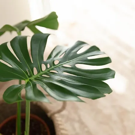 شقة Dream Casa By The Sea By 8essentially